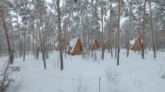 Снежное великолепие