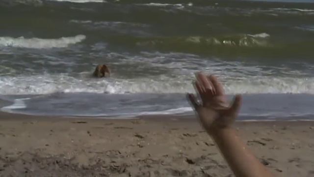 Море (Бердянск 7 06 2015) смотреть онлайн