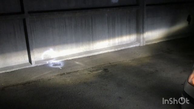 Led ПТФ Octavia A5 смотреть онлайн