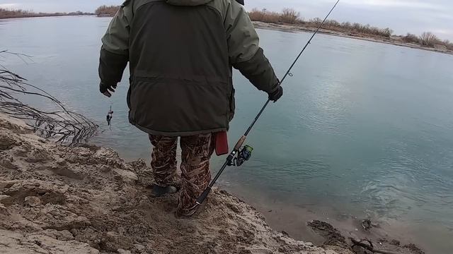 Вот это раздача жереха Бешеный клёв на спиннинг. 2023 г.10 .04 . смотреть онлайн