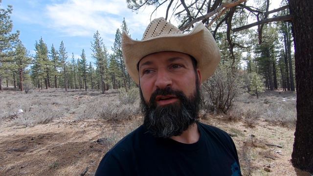 Taiyobe National Forest Bday Overlanding Weekend @OverlandingBeerandBacon - G-Class W463 G55 AMG