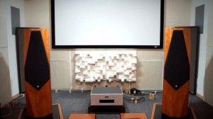 Avalon Acoustics DIAMOND - Turn Me On