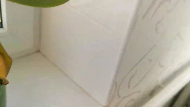 Влог ✅ октябрь 2021 ?