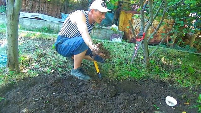 Начал копать землю на даче смотреть онлайн