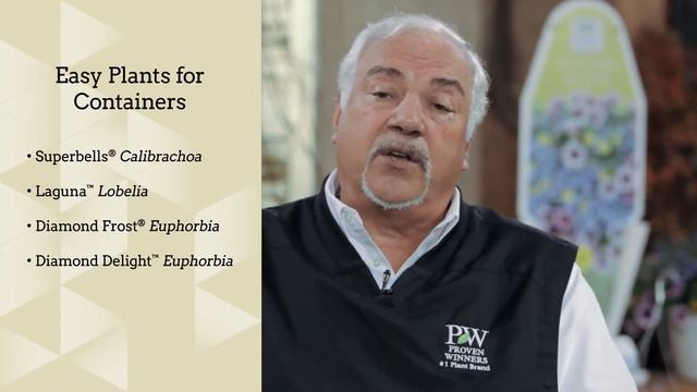 Easy Annuals for Containers смотреть онлайн