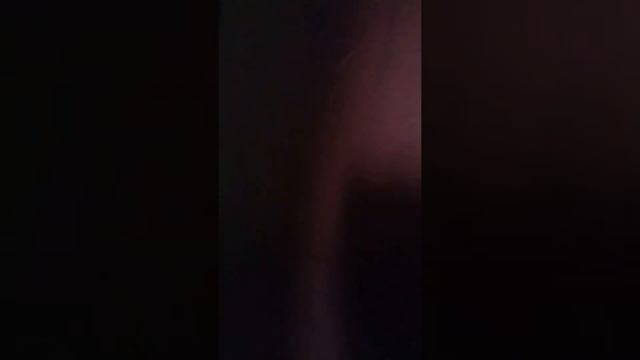 Прикол с котом смотреть онлайн
