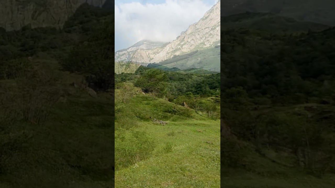 The enchanting Singing of Birds high in the Mountains смотреть онлайн