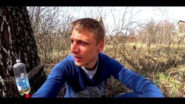 Кулинарное творчество для всех возрастов 