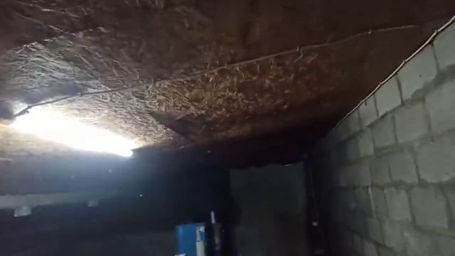 Обмін досвідом.Что будет с потолком в свинарнике,если подшить ОСБ?Опыт подписчика Павла.Свиноводств