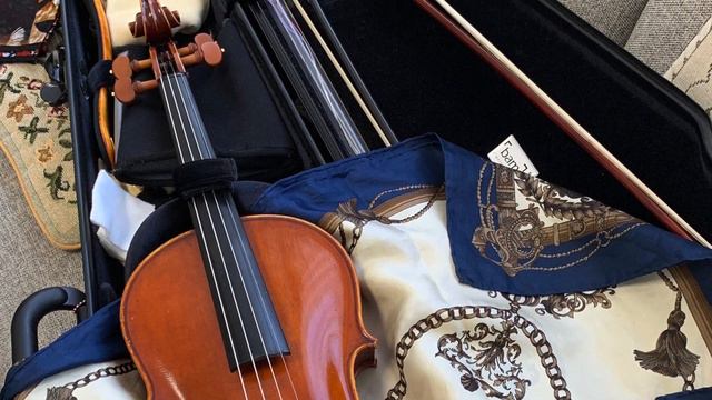 Stefano　Conia  Viola