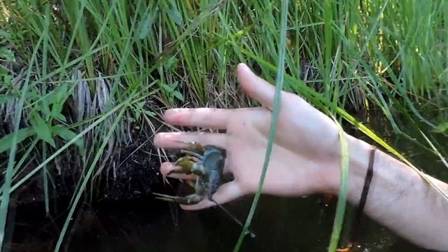 Рецензии на Фильмы