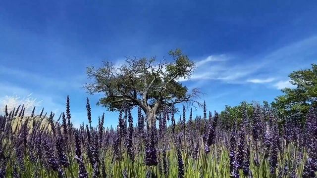 BONUS 3_ GET LOW TO GET HIGH #2