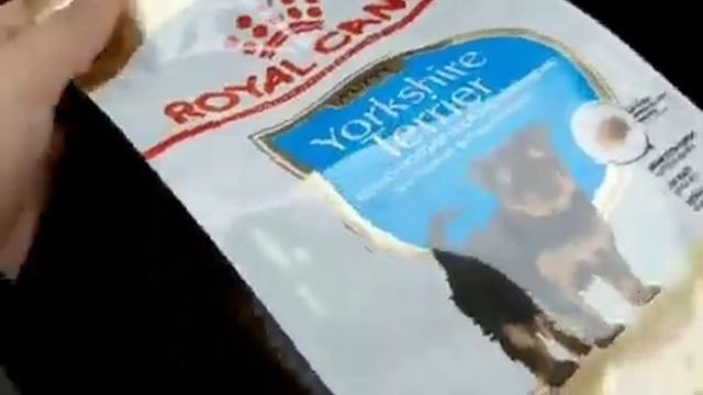 покупки в зоомагазине для щенка йорка? смотреть онлайн
