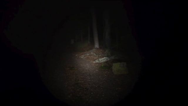 Left Behind #Demo #Unity #SolitaryStudio смотреть онлайн