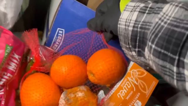 Dumpster Diving Aldi #297 FREE GROCERY SHOPPING! смотреть онлайн