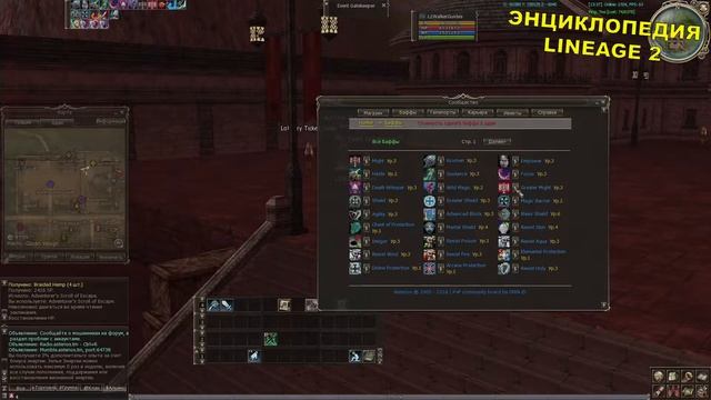 Квест Path of the Elven Scout Путь Разведчика смотреть онлайн