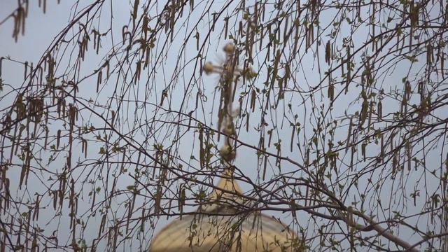 Перший молебень у храмі Миколая Чудотворця у Новомосковську під егідою Дніпровської Єпархії ПЦУ. смотреть онлайн
