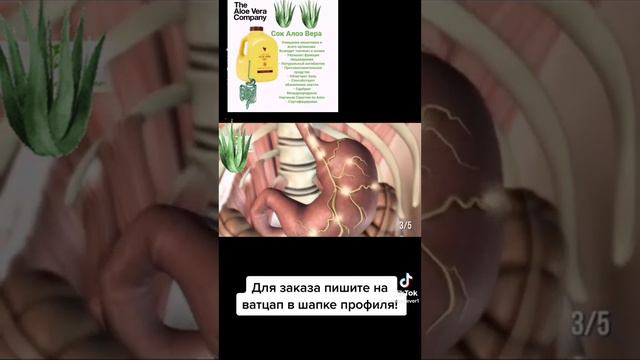 Алое вера смотреть онлайн