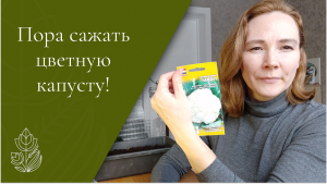 Сеем цветную капусту для получения раннего урожая!