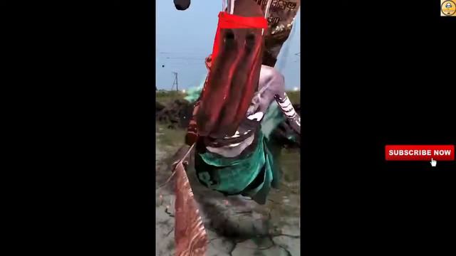 The Witcher: Monster Slayer | A New AR Android Game | Coming Soon | Gameplay Trailer | Hindi | смотреть онлайн