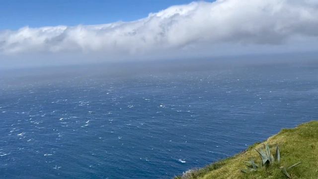 ИСКАЛИ ПЛЯЖ С ПАЛЬМАМИ А ПРИЕХАЛИ К КОРОВАМ! Один из маяков острова МАДЕЙРЫ! смотреть онлайн