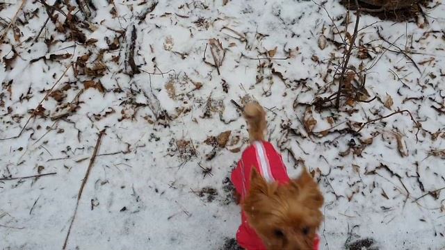 Поздравляю Всех с первым днём зимы. Готовим плов в мультиварке. смотреть онлайн