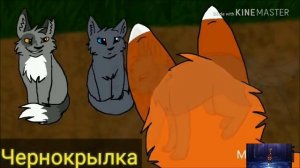 Клип.Коты Воители.Синяя Звезда и Жёлудь.Цвет настроения синий.Заказ с канала Листвяная Звезда.