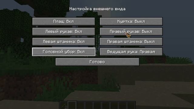 Я сделал НЕВИДИМЫЙ СКИН!!!!!! смотреть онлайн