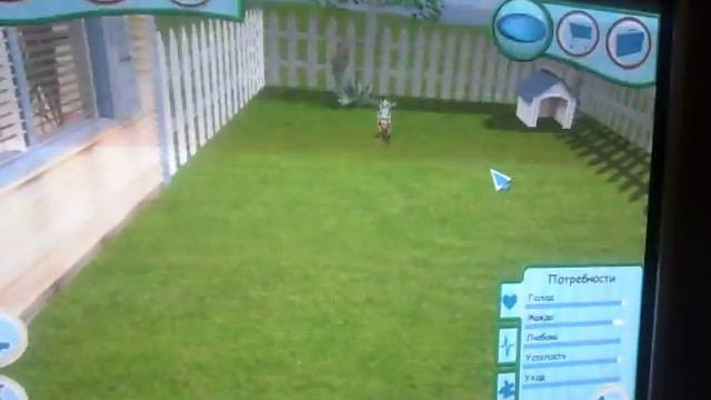 Игра Dogz смотреть онлайн