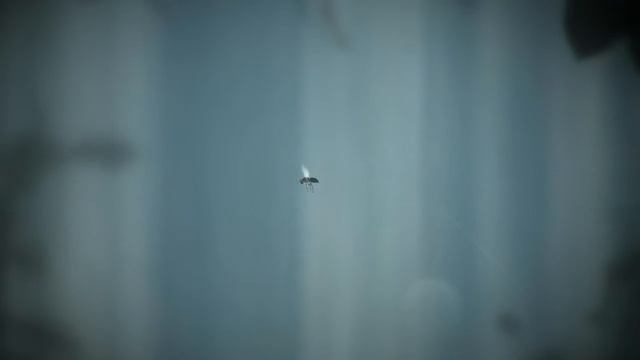 Прохождение The Plan от Misster Roach смотреть онлайн