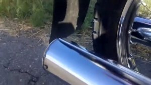 ЯВА 350 [634] В ИДЕАЛЬНОМ СОСТОЯНИИ . ВИДЕО РАБОТЫ [HD]