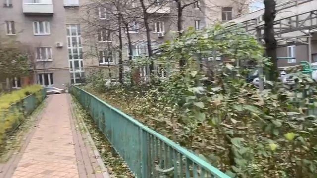 Прекрасный сад в городском дворе! смотреть онлайн