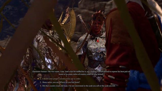 Baldur's Gate 3 - Act 1 The Wizard of Waterdeep: Reach Elminster Aumar (Give Rations) Gale Dialogue смотреть онлайн