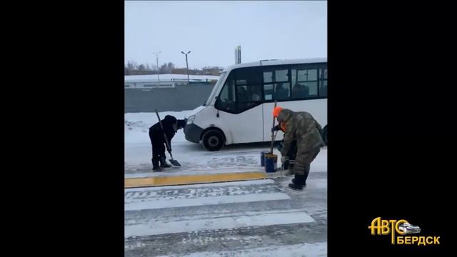 Рисуют зебру на снегу смотреть онлайн