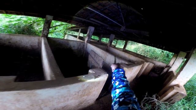 FUI OBRIGADO A AT!RAR NA CRIATURA смотреть онлайн