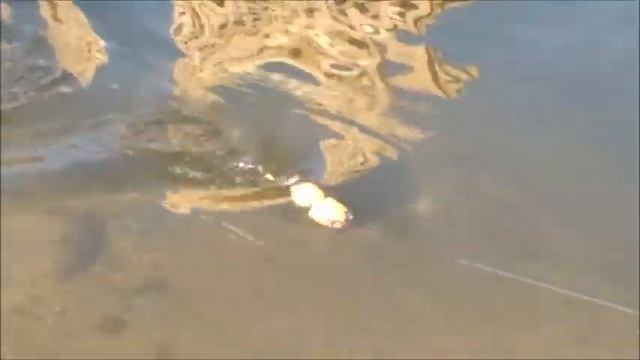 Проводка топвотера Nimmer Swimmer wolly pogs смотреть онлайн