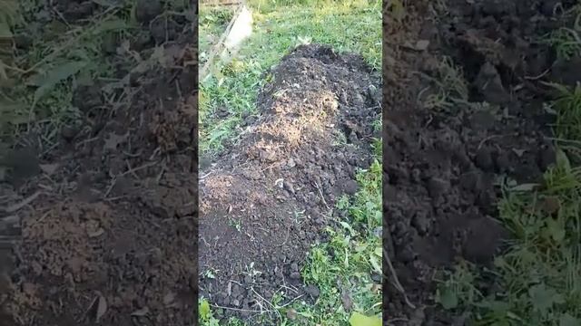 Как согреться на даче осенью? ;) смотреть онлайн