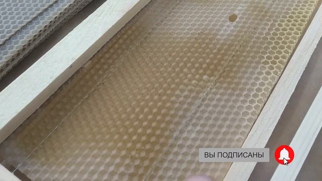 Качество вощины в Луганске и ЛНР. Магазин Пчеловодство, Стаханов, Вощина Луганск. смотреть онлайн