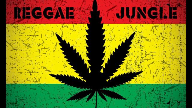 Dark Reggae Vocal Jungle Drum & Bass Mix #3 New 2021 Ed Solo / Benny Page / Deekline смотреть онлайн