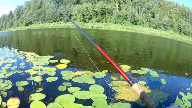 Спиннинг на средней реке, лето 2021 смотреть онлайн