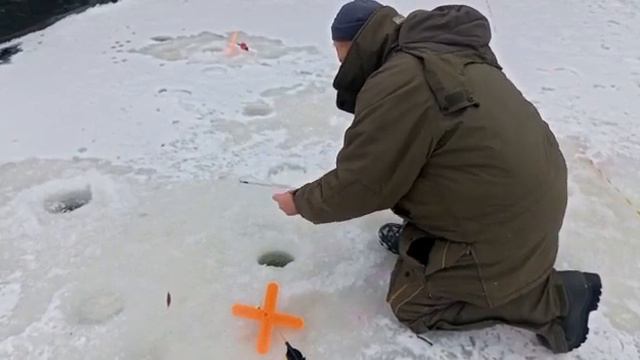 Светлые Горы Форель3 29.01.2023г. смотреть онлайн