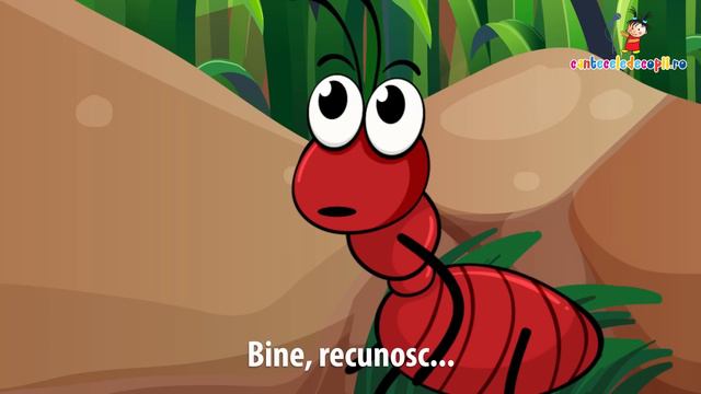 Elefantul Cici - Cantece Pentru Copii | CriCriCri