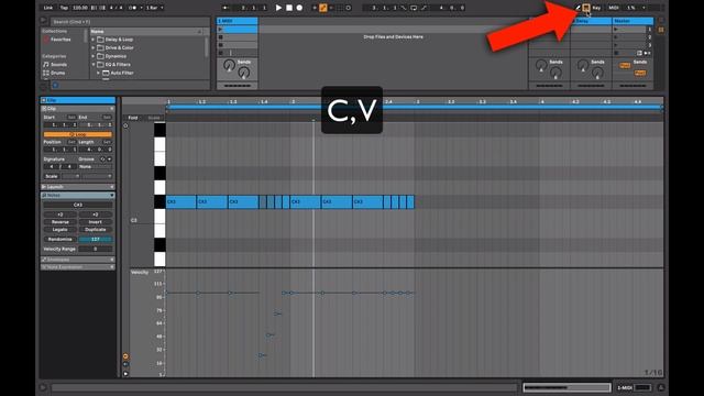 Ableton 11.1. Немного про Velocity Note в обновление 11.1.