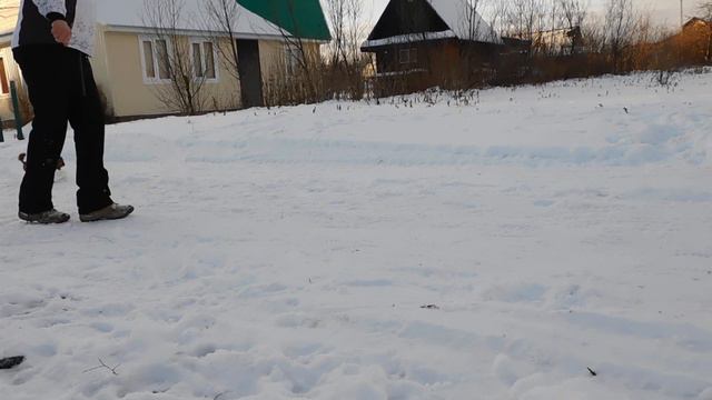 СВ Орхидея 2 мес. смотреть онлайн