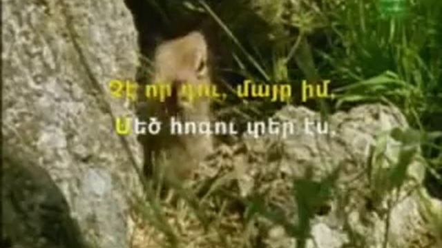 Armenian KARAOKE  Es Tun Em Galis