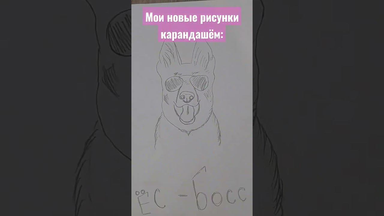 Кто найдёт ошибку в одном из слов на видео-тому мой лайк!#рекомендации смотреть онлайн