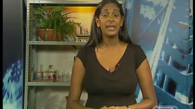 Huygens' Principle - Grade 11 & 12 Waves смотреть онлайн