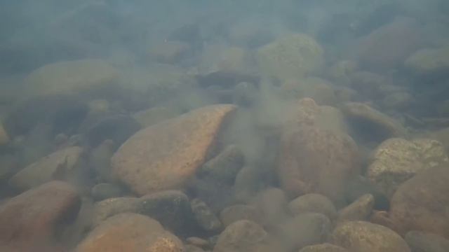 Верхняя Терсь 10.11.20126 смотреть онлайн