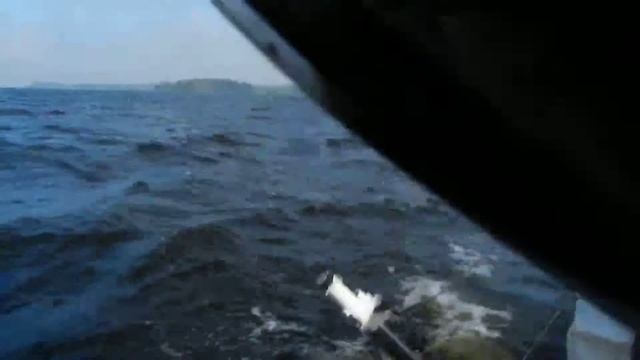 Сейлиг на Амуре в Выборгском заливе. смотреть онлайн
