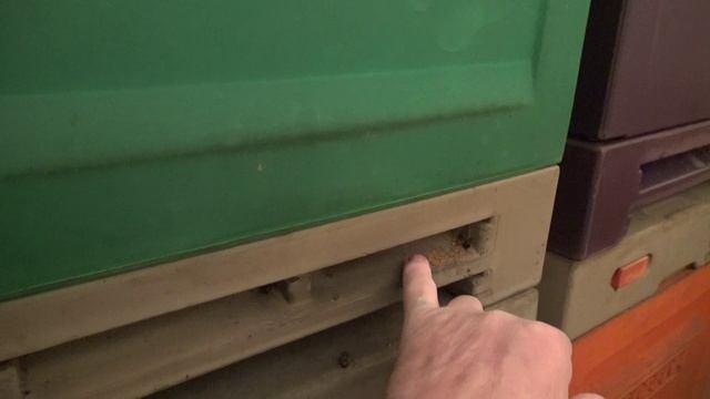 Зимовка в омшанике и куча новостей смотреть до конца смотреть онлайн